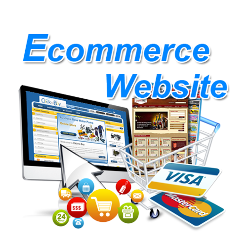 E commerce website designing and Developement